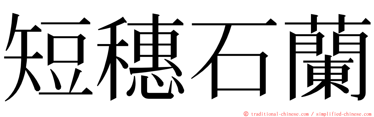 短穗石蘭 ming font