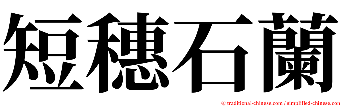 短穗石蘭 serif font