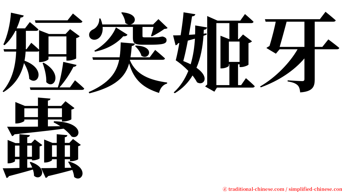 短突姬牙蟲 serif font