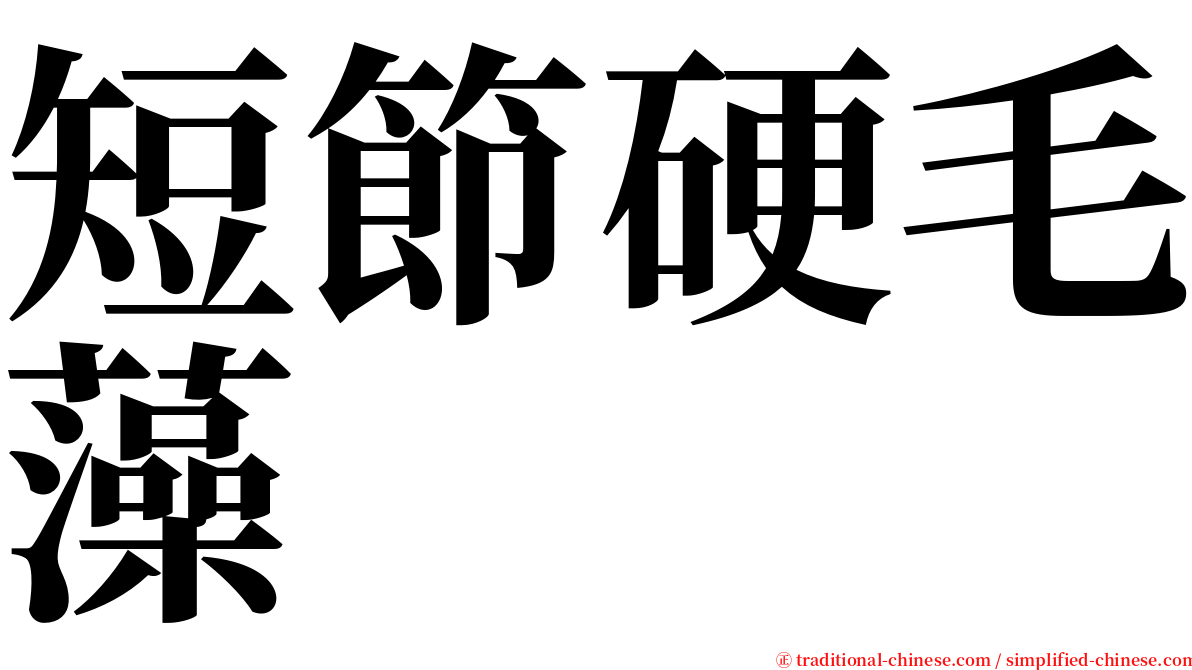 短節硬毛藻 serif font