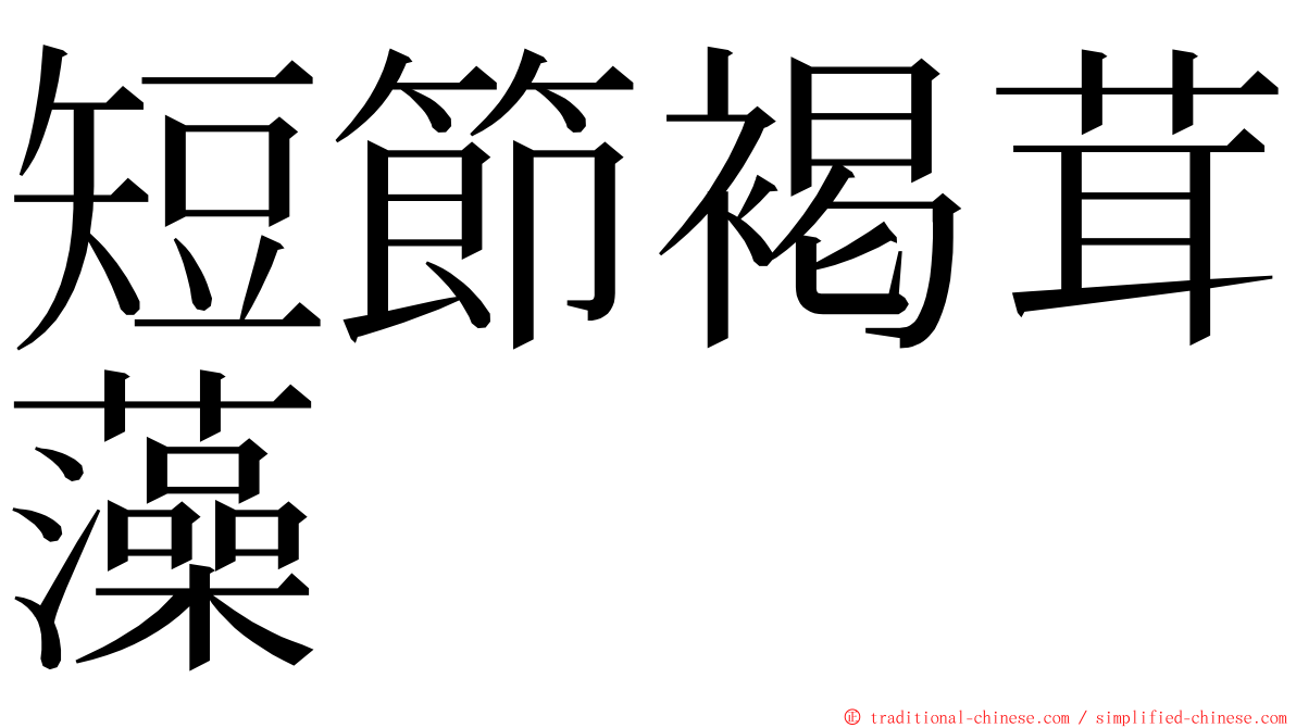 短節褐茸藻 ming font