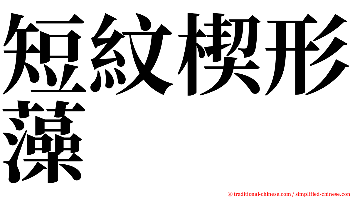 短紋楔形藻 serif font