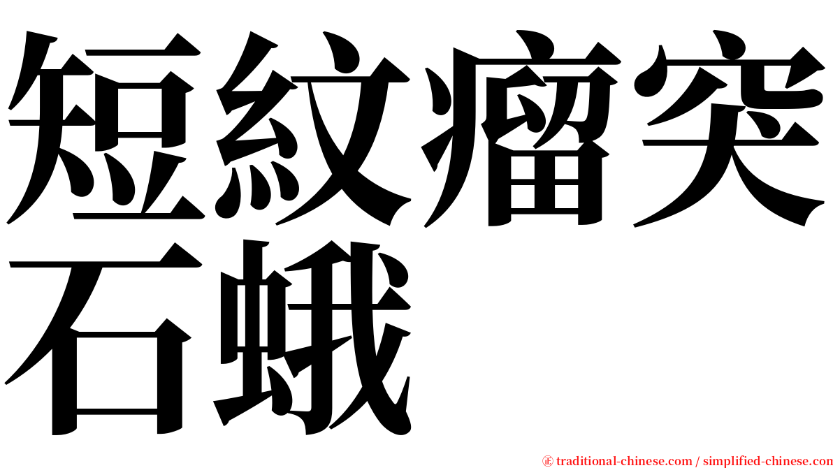 短紋瘤突石蛾 serif font