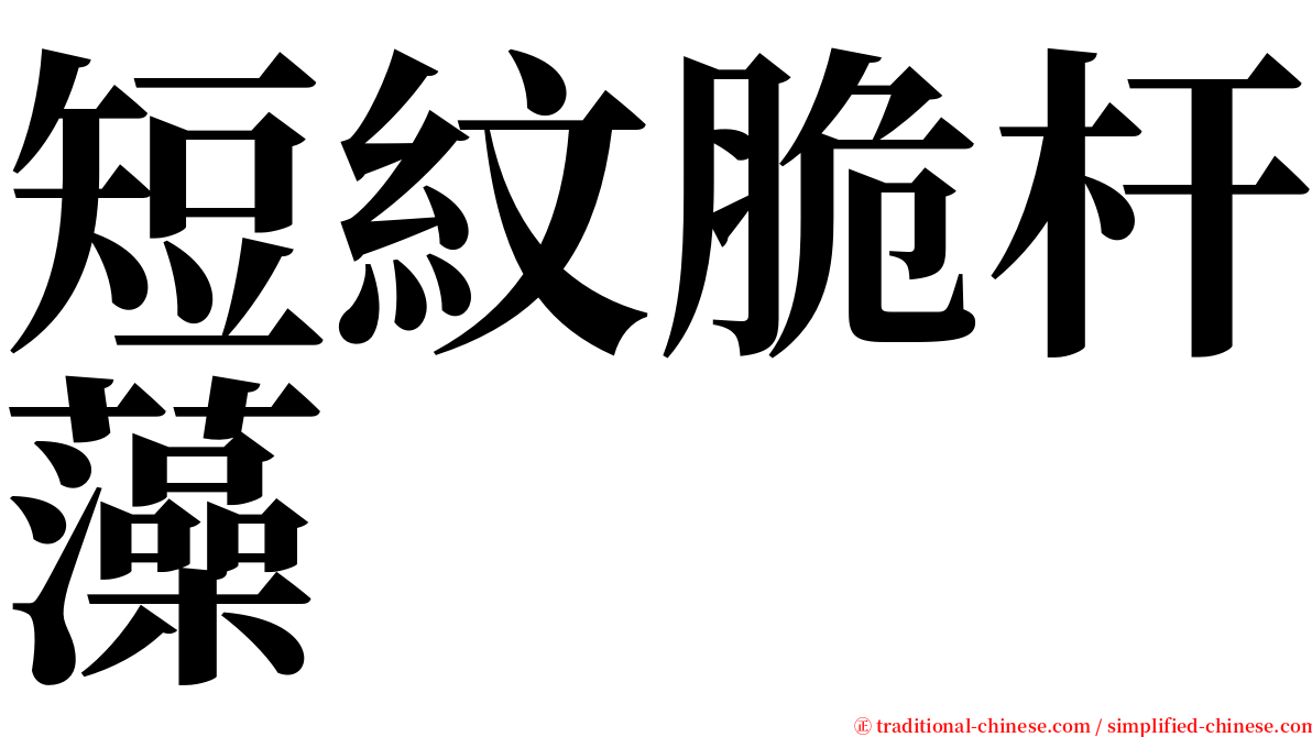 短紋脆杆藻 serif font