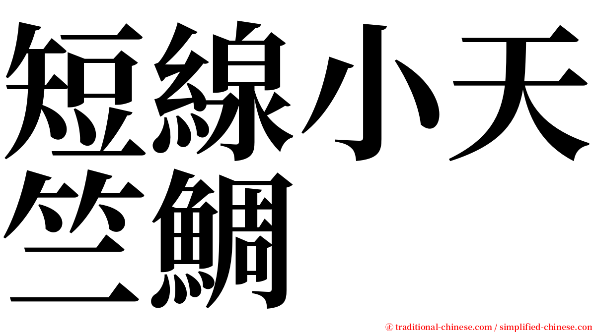 短線小天竺鯛 serif font