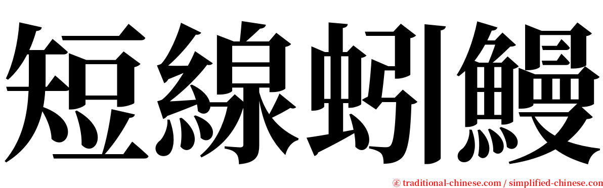 短線蚓鰻 serif font