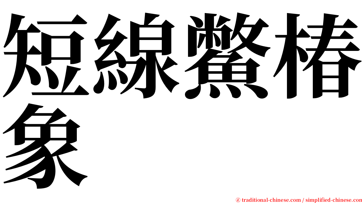 短線鱉椿象 serif font