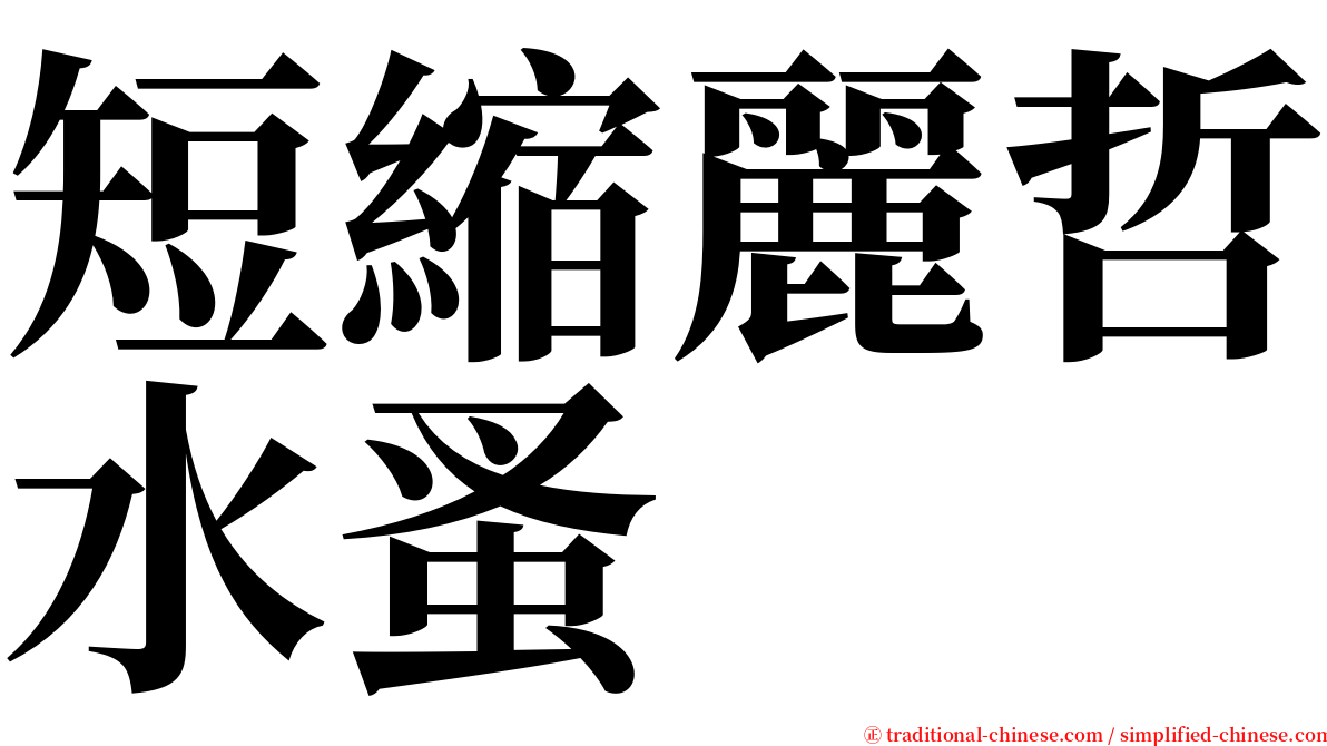 短縮麗哲水蚤 serif font