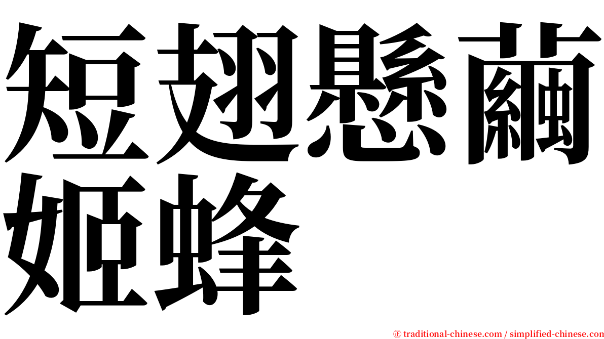 短翅懸繭姬蜂 serif font