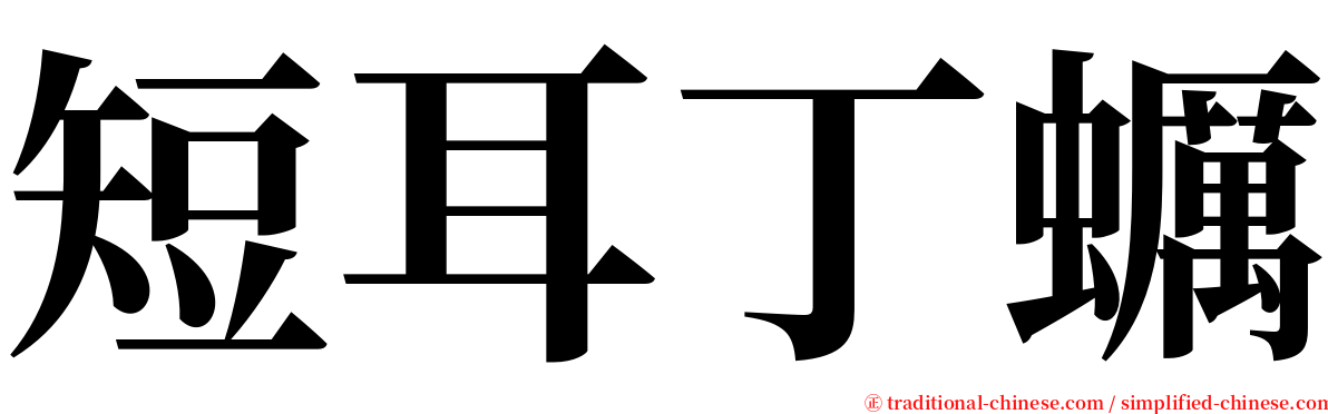 短耳丁蠣 serif font