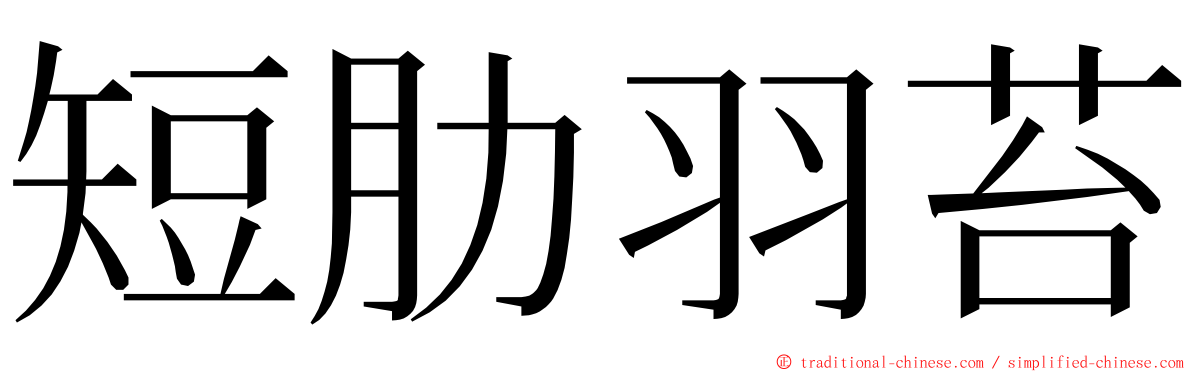 短肋羽苔 ming font