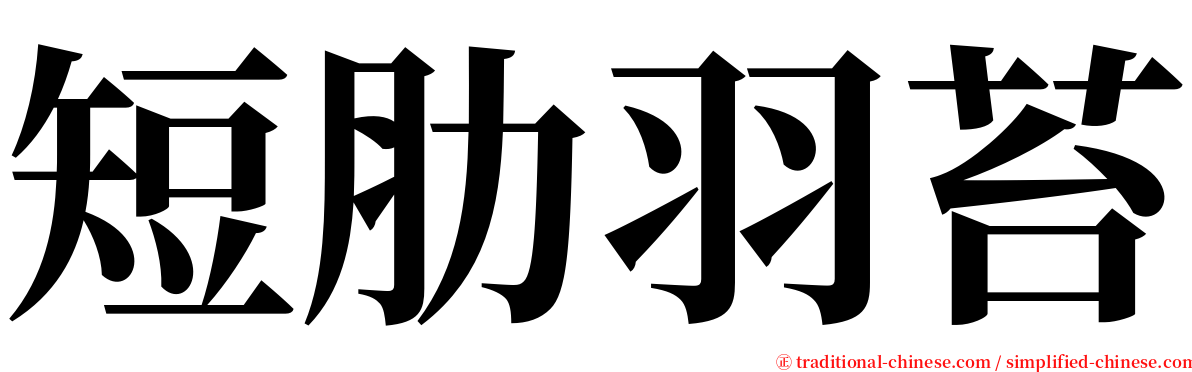 短肋羽苔 serif font