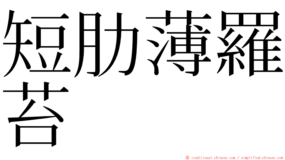 短肋薄羅苔 ming font