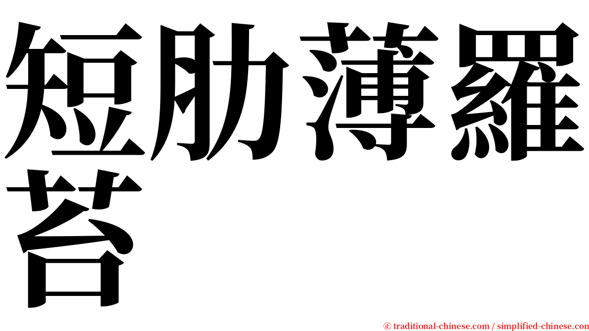 短肋薄羅苔 serif font