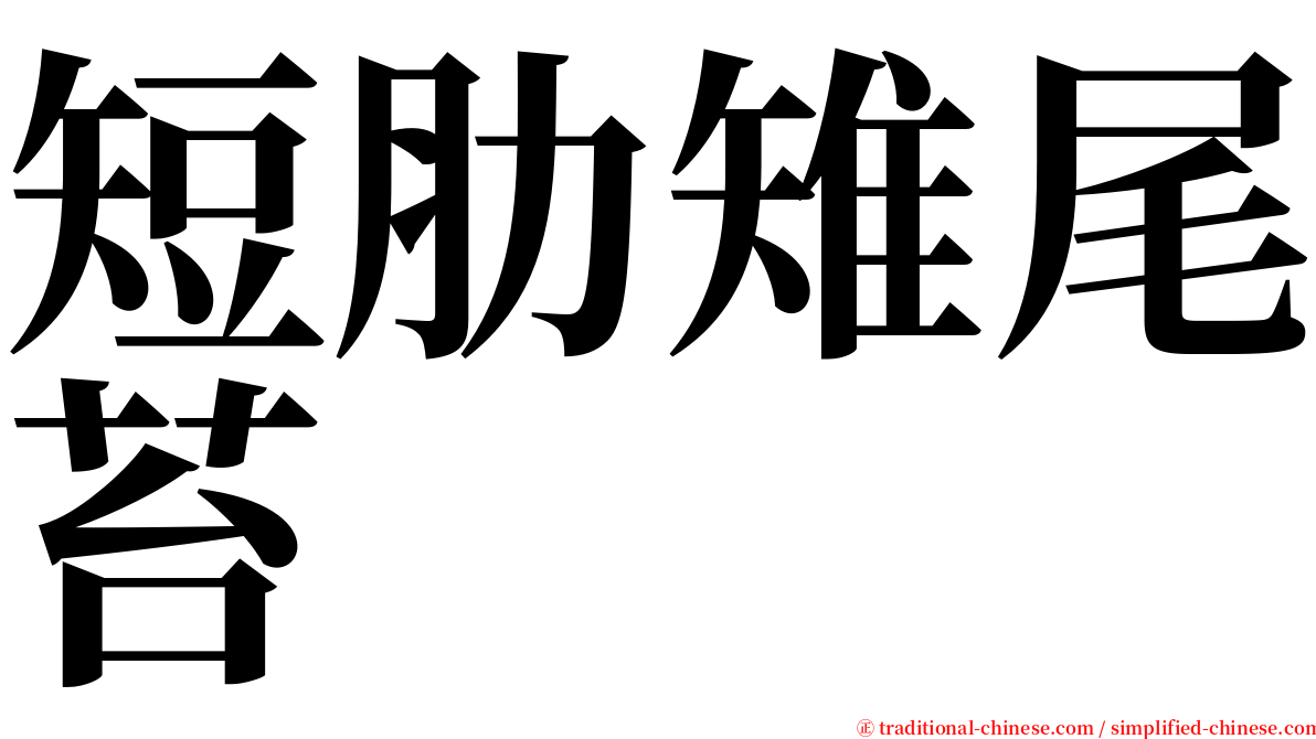 短肋雉尾苔 serif font