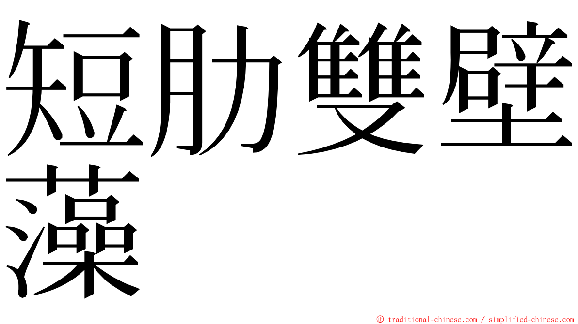 短肋雙壁藻 ming font