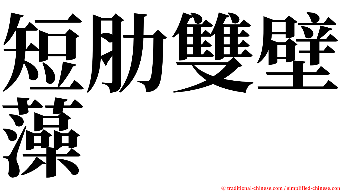 短肋雙壁藻 serif font