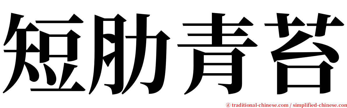 短肋青苔 serif font