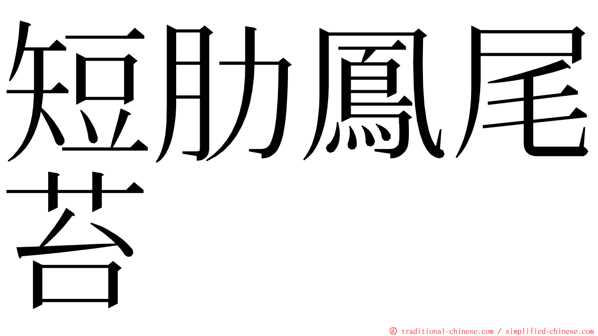 短肋鳳尾苔 ming font