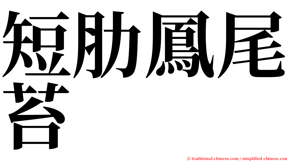 短肋鳳尾苔 serif font