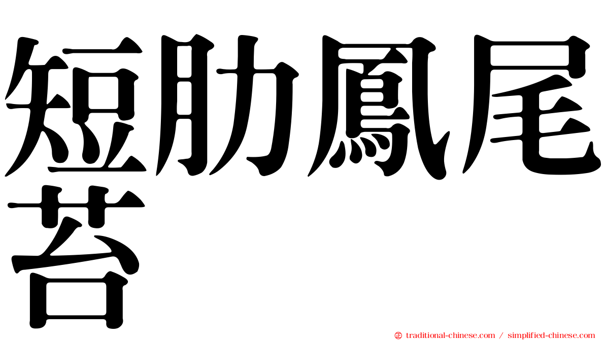 短肋鳳尾苔