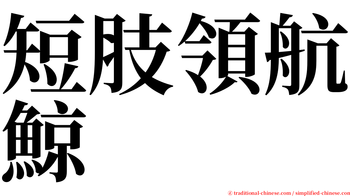 短肢領航鯨 serif font