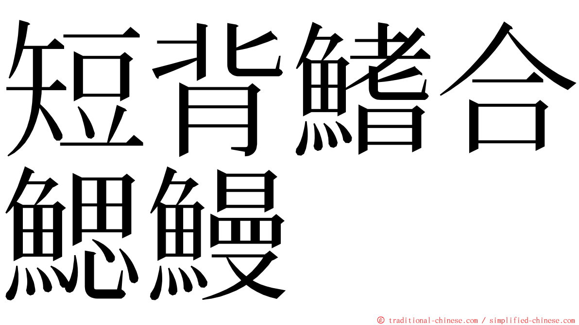 短背鰭合鰓鰻 ming font