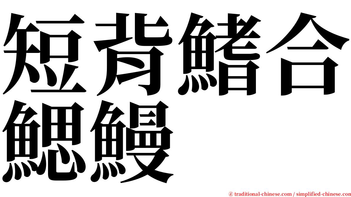 短背鰭合鰓鰻 serif font