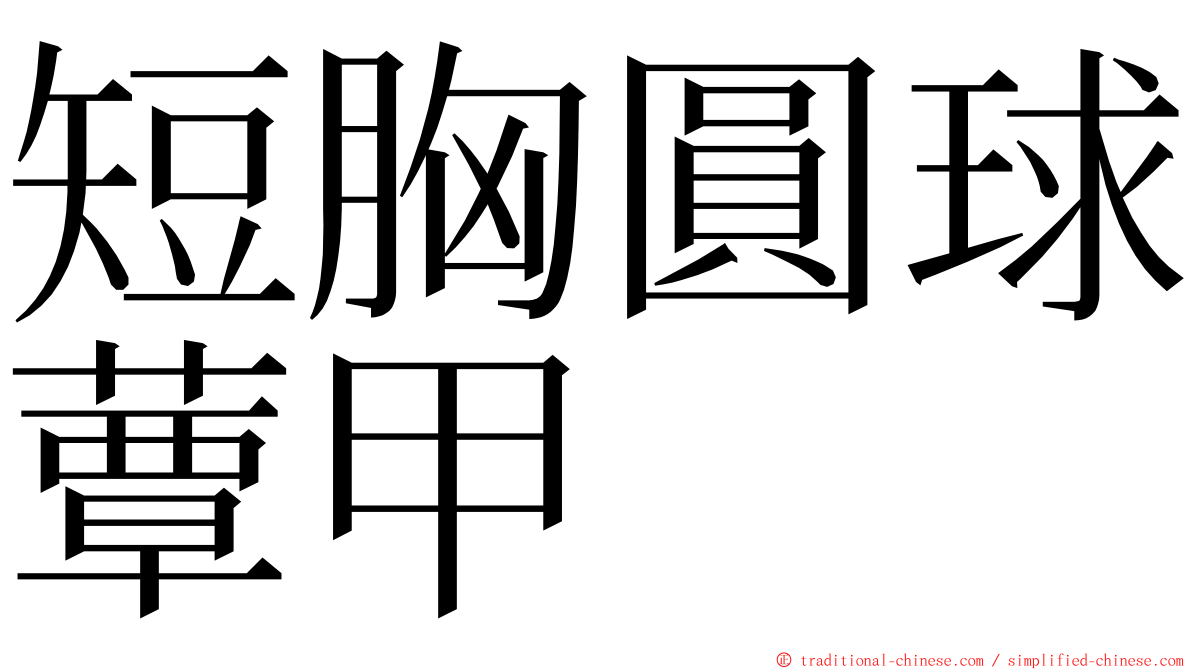 短胸圓球蕈甲 ming font