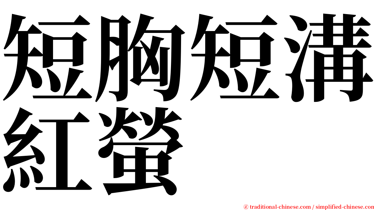 短胸短溝紅螢 serif font