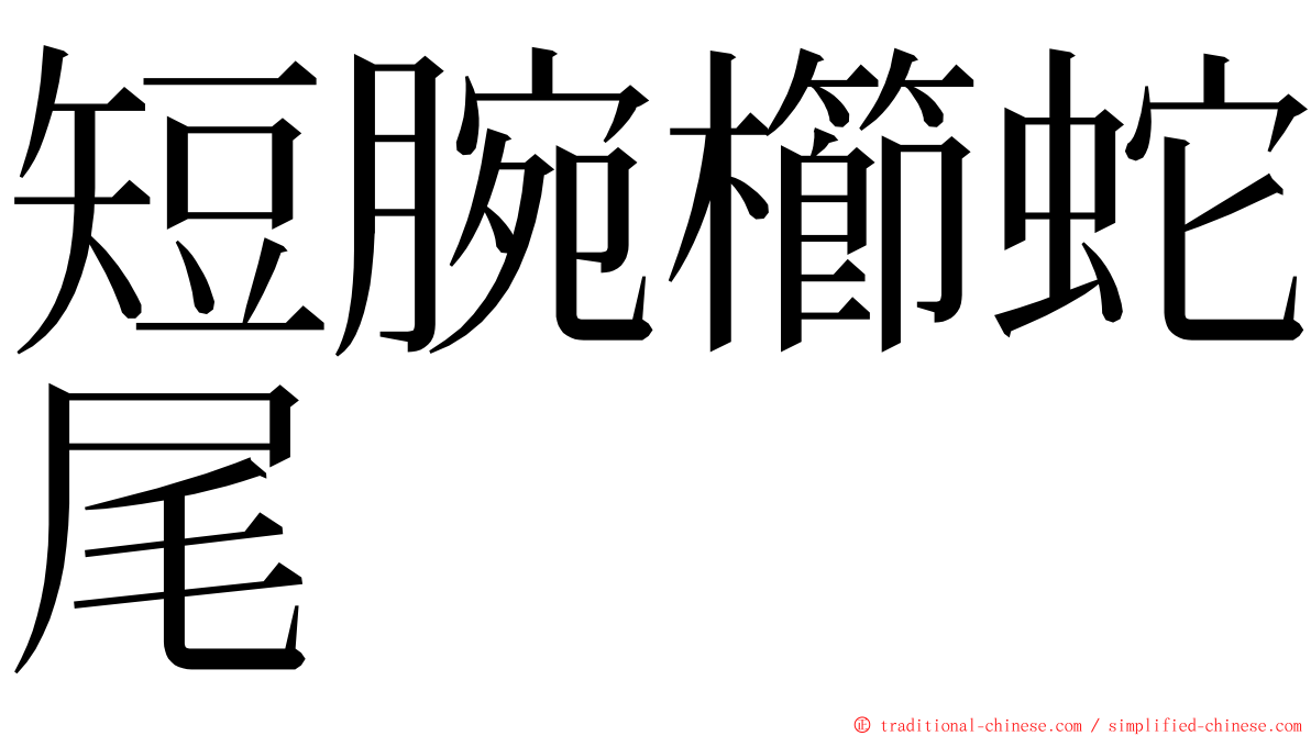 短腕櫛蛇尾 ming font