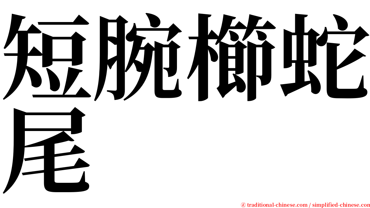 短腕櫛蛇尾 serif font