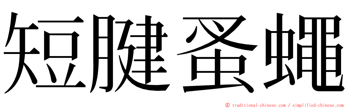 短腱蚤蠅 ming font