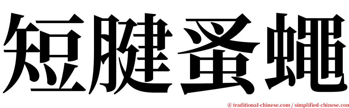 短腱蚤蠅 serif font