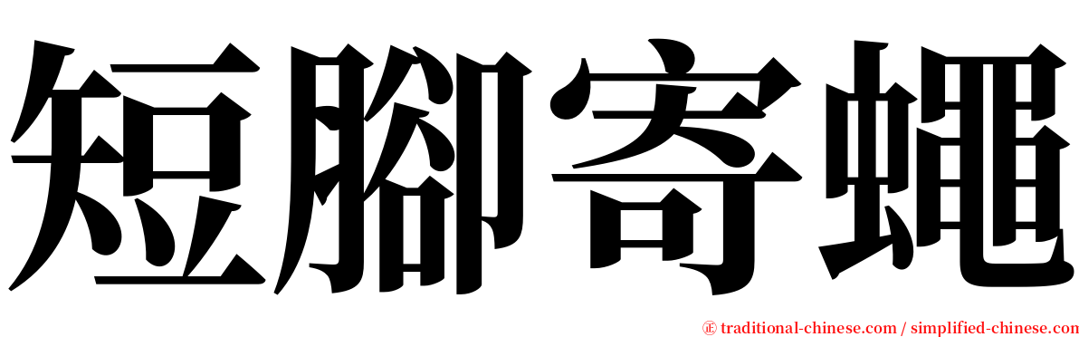 短腳寄蠅 serif font