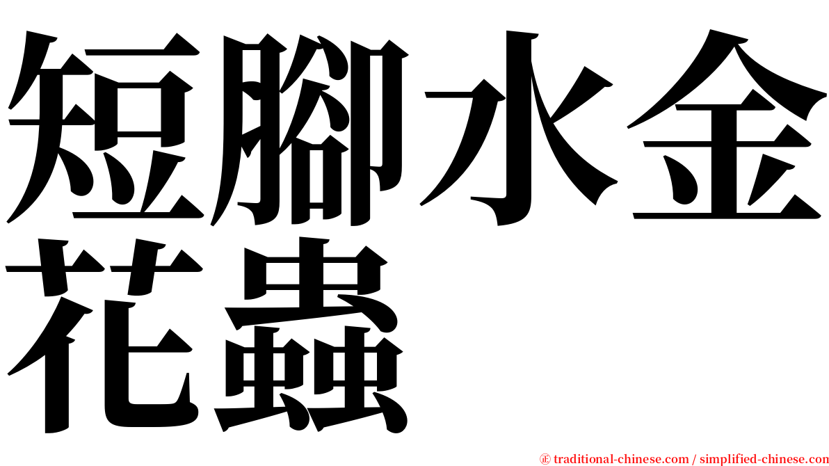 短腳水金花蟲 serif font