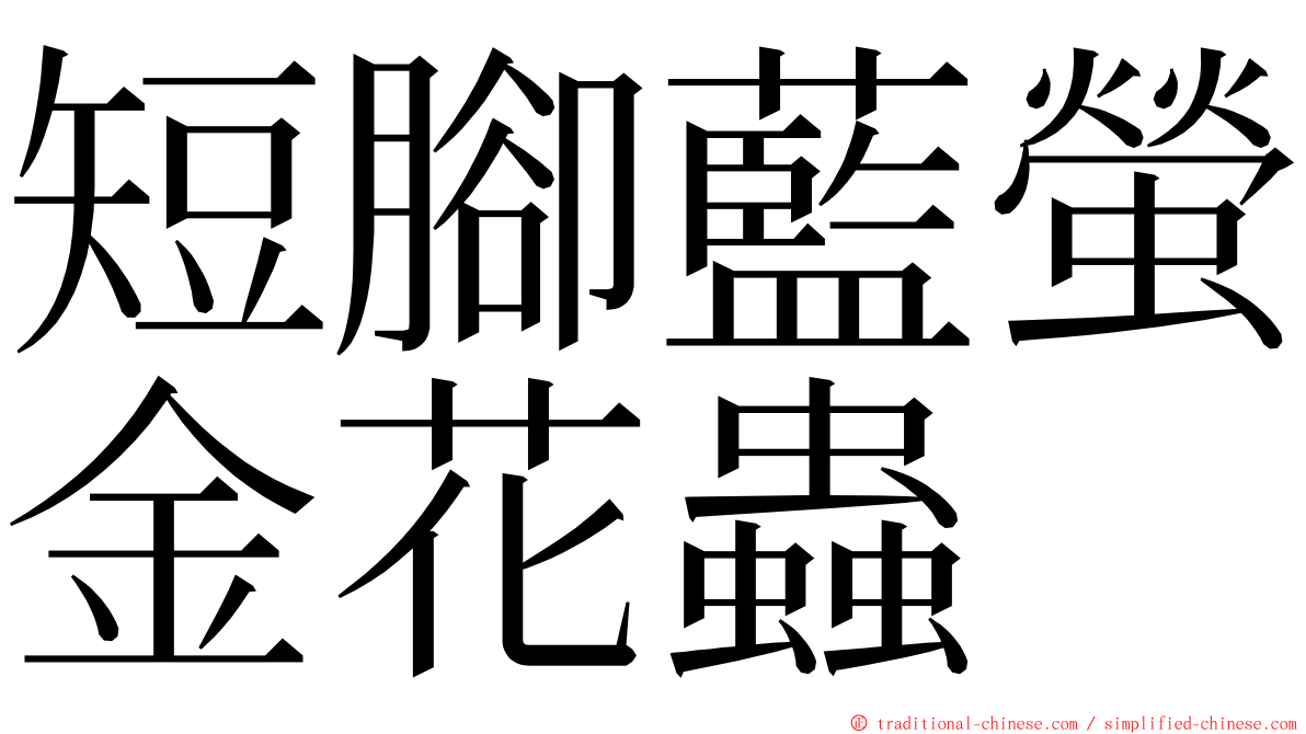 短腳藍螢金花蟲 ming font