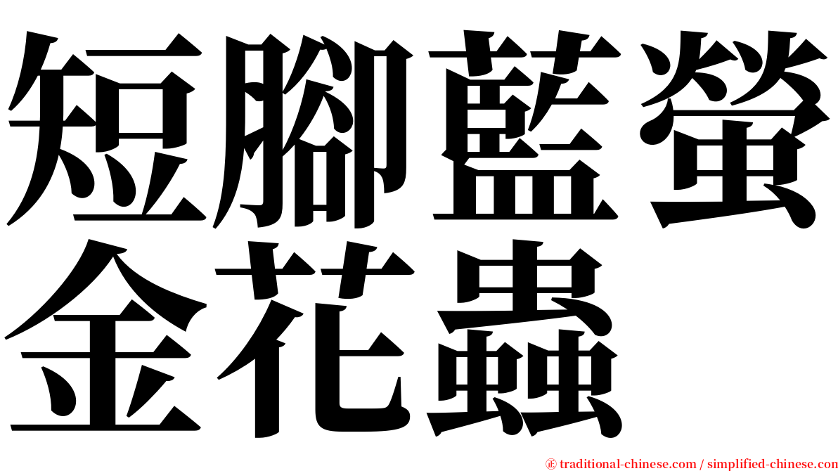 短腳藍螢金花蟲 serif font