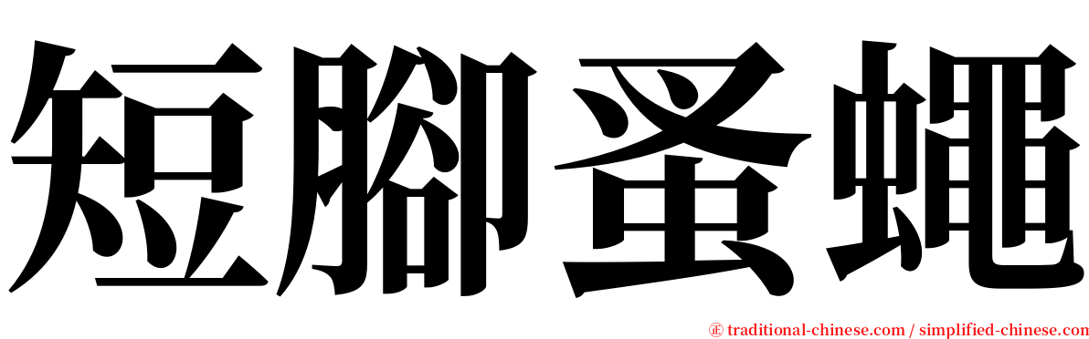 短腳蚤蠅 serif font