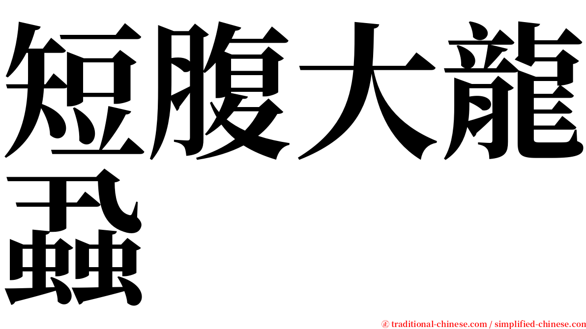 短腹大龍蝨 serif font