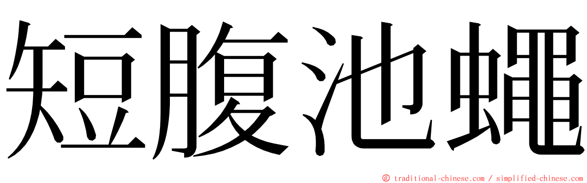 短腹池蠅 ming font