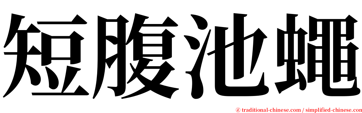 短腹池蠅 serif font