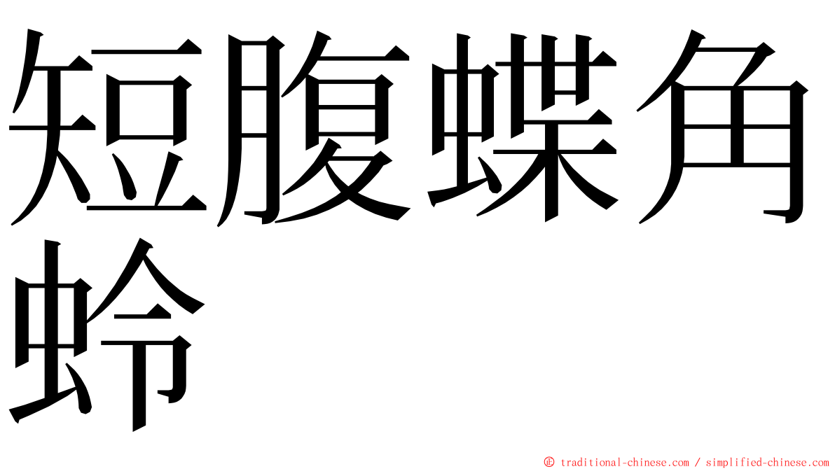 短腹蝶角蛉 ming font