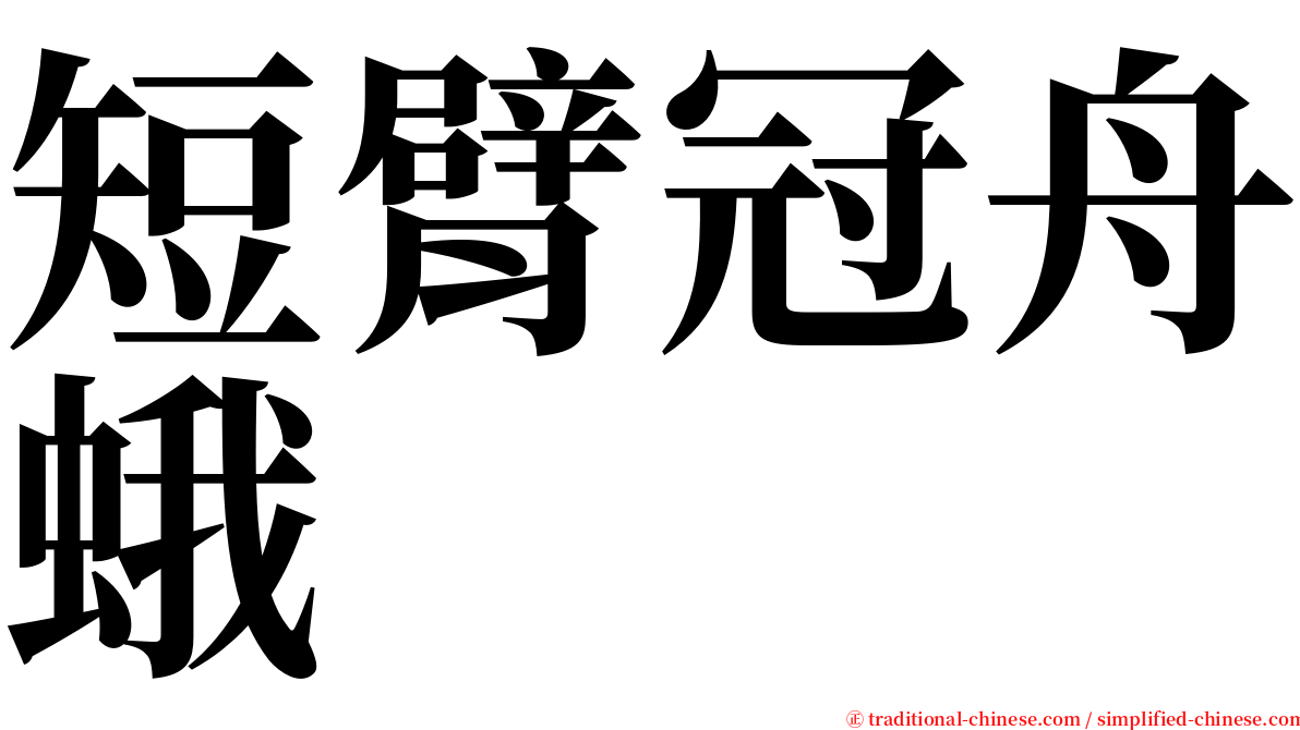 短臂冠舟蛾 serif font