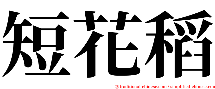 短花稻 serif font