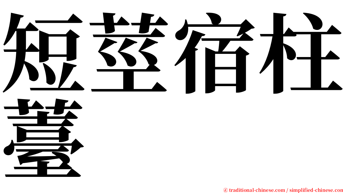 短莖宿柱薹 serif font