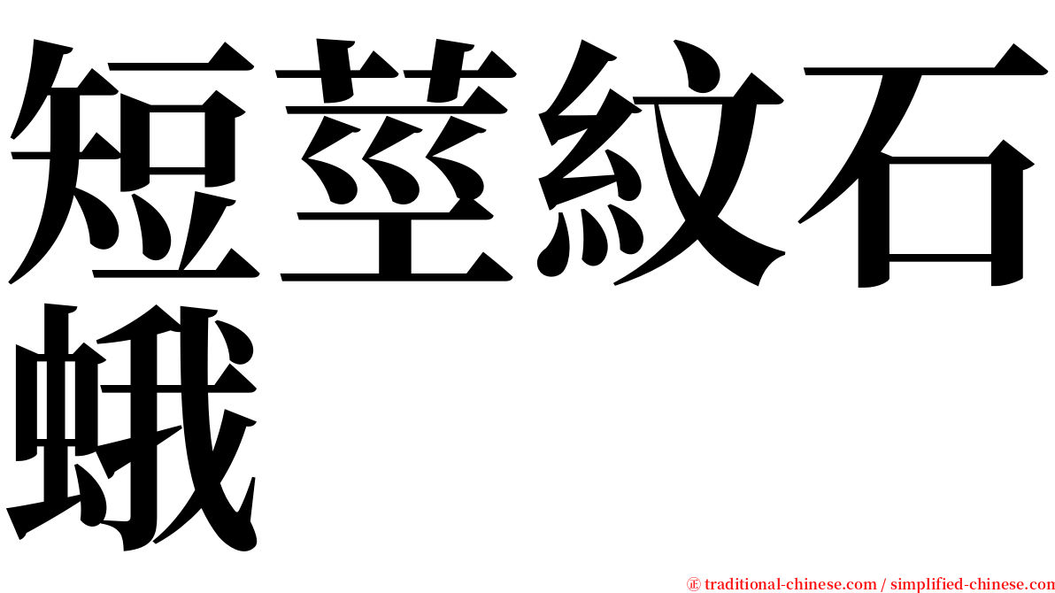 短莖紋石蛾 serif font