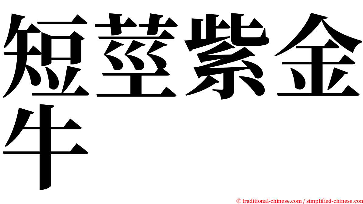 短莖紫金牛 serif font