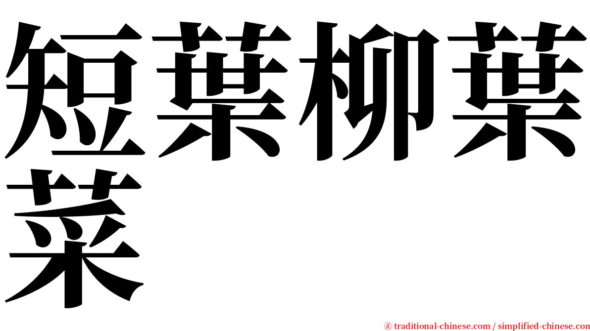 短葉柳葉菜 serif font