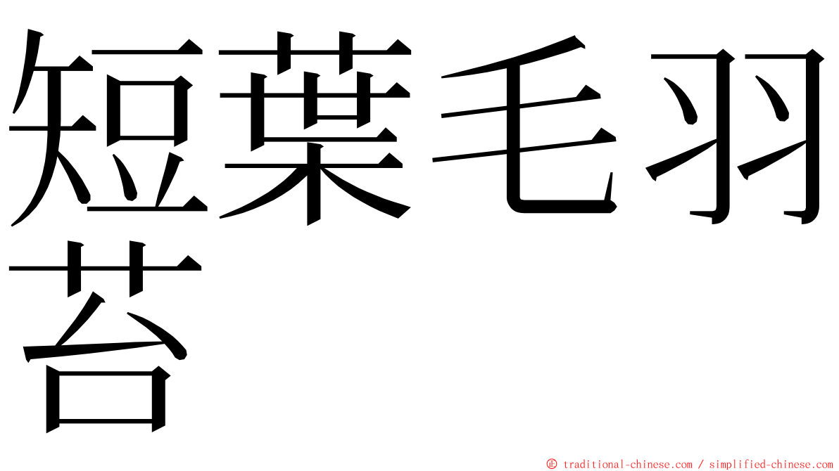 短葉毛羽苔 ming font